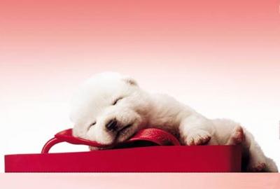 tro tro chou!!!!!!!!!!!!!
